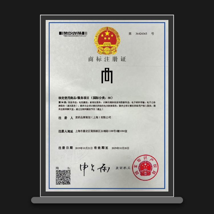 第38类:信息传送;电视播放;新闻社服务;计算机辅助信息和图像传送;电子邮件传输;电子公告 牌服务(通讯服务);提供与全
